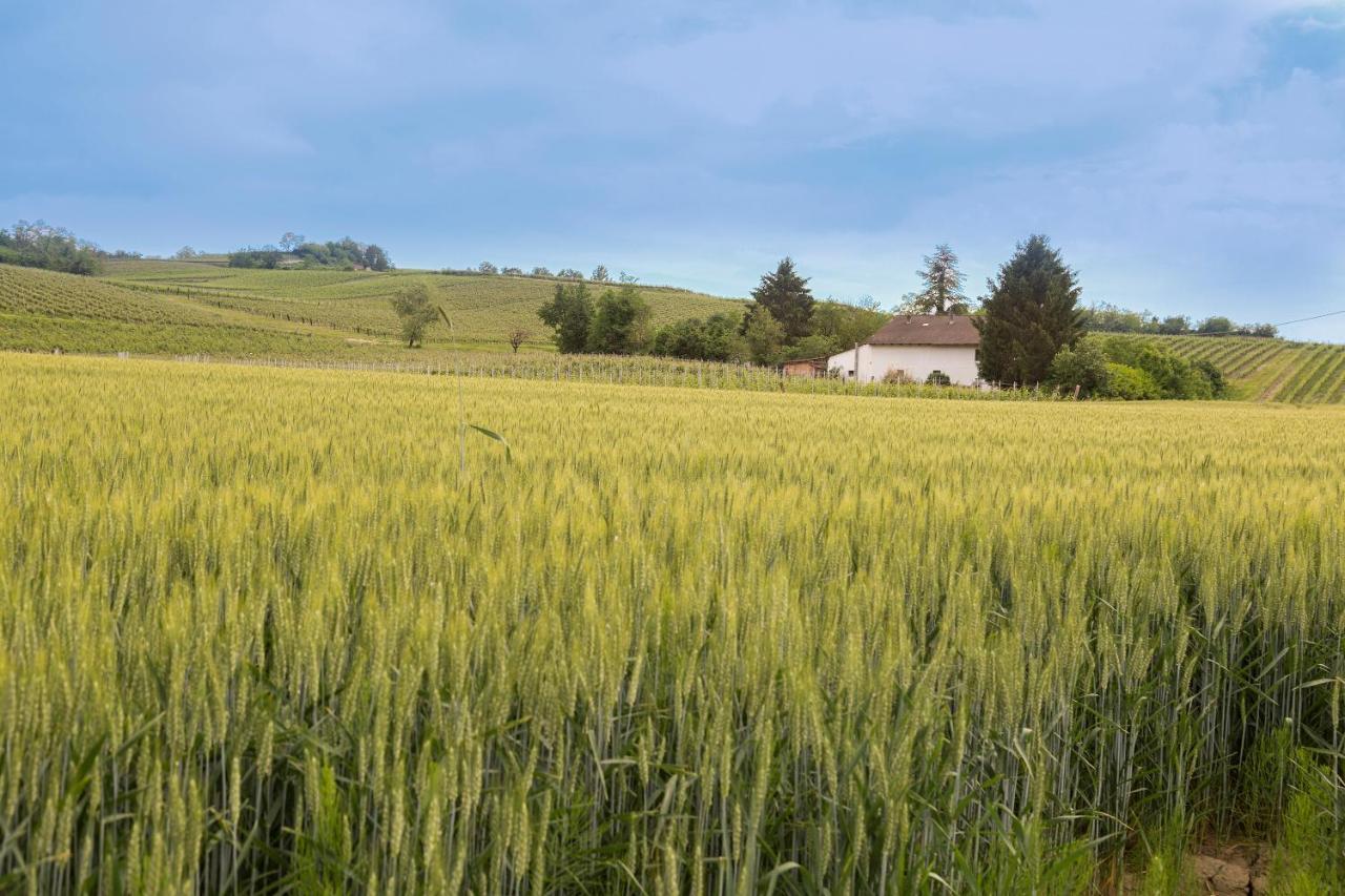 Вилла White Tail Organic Farm Orsara Bormida Экстерьер фото